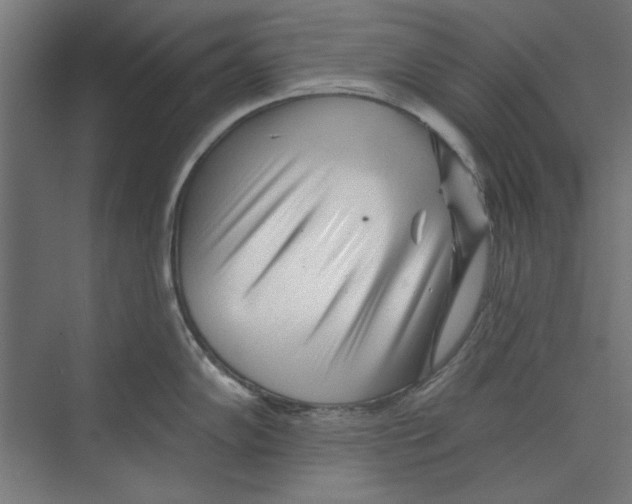 X0000073831102200609071508