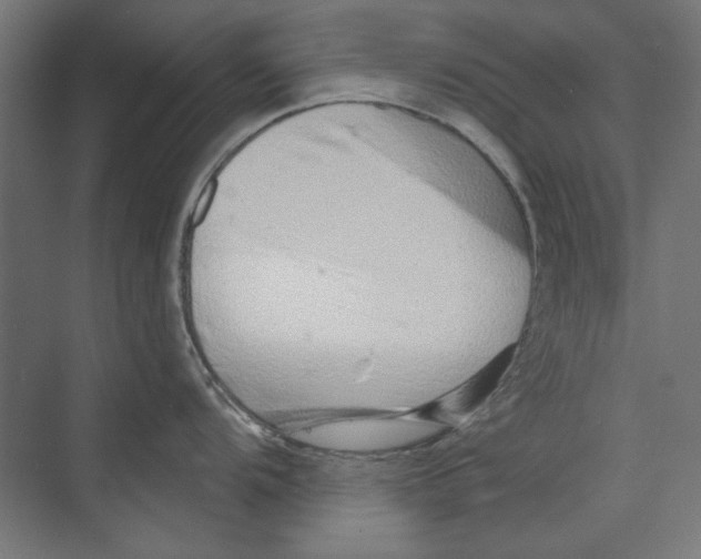 X0000073831104200609071508