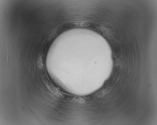 X0000073831106200609071507