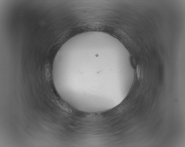 X0000073831107200609071507