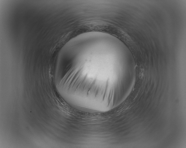 X0000073831108200609071507