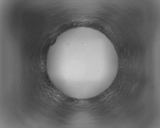 X0000073831109200609071507