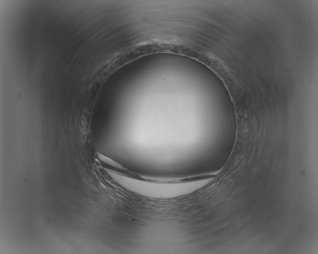 X0000073831110200609071507