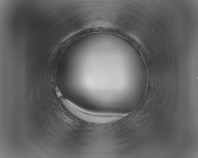 X0000073831112200609071507