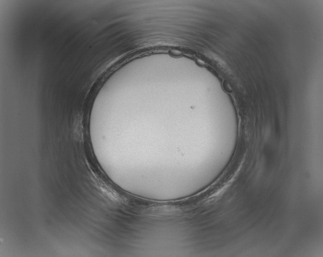 X0000073831113200609071507