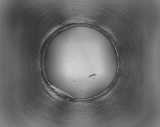 X0000073831114200609071508