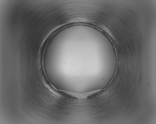 X0000073831116200609071508