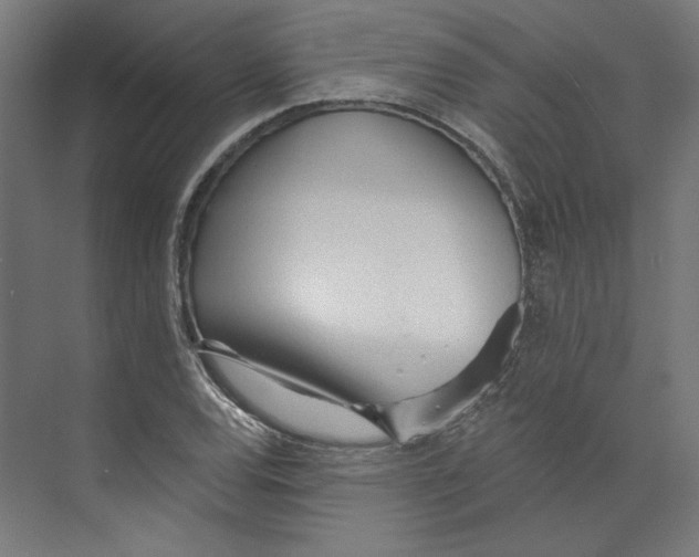 X0000073831120200609071508