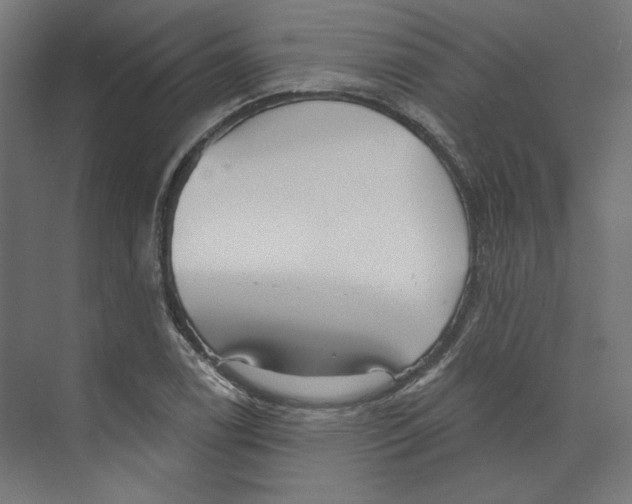 X0000073831122200609071508