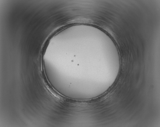 X0000073831123200609071508