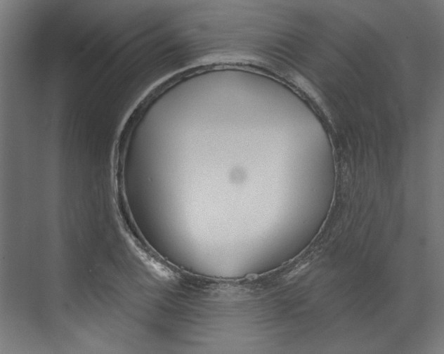 X0000073831124200609071508