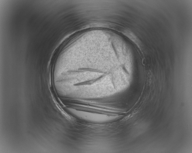 X0000073831127200609071508