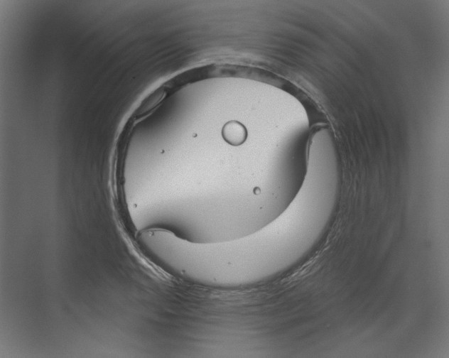 X0000073831128200609071508