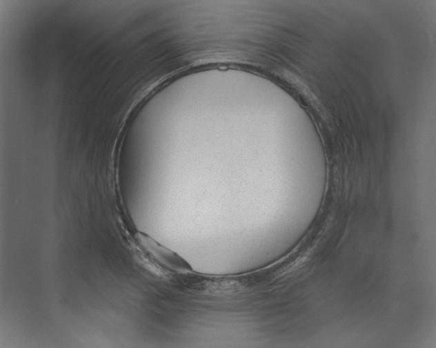 X0000073831129200609071508