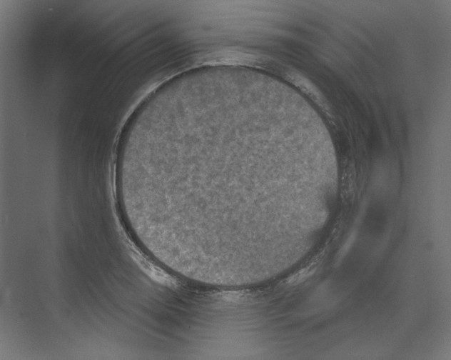 X0000073831130200609071508