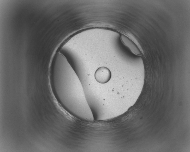 X0000073831132200609071508