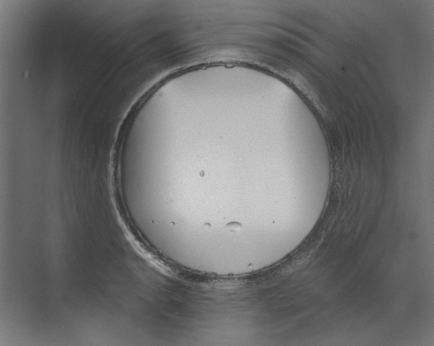 X0000073831134200609071508