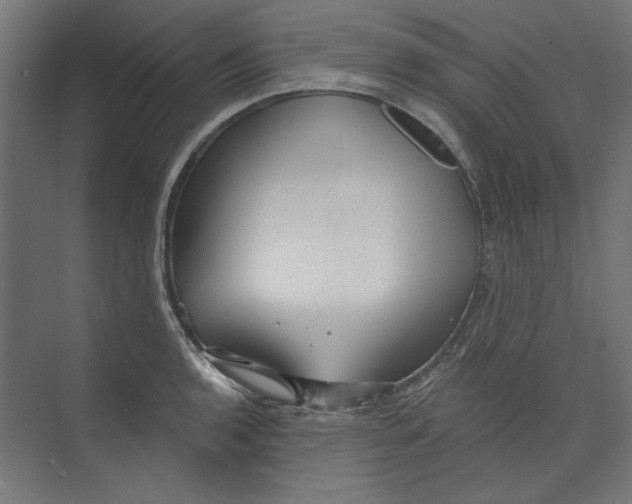 X0000073831136200609071508