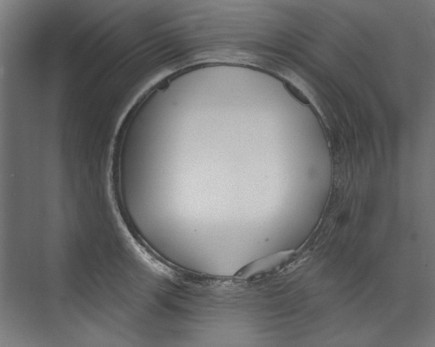 X0000073831139200609071508