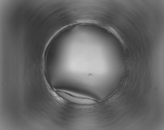 X0000073831140200609071508