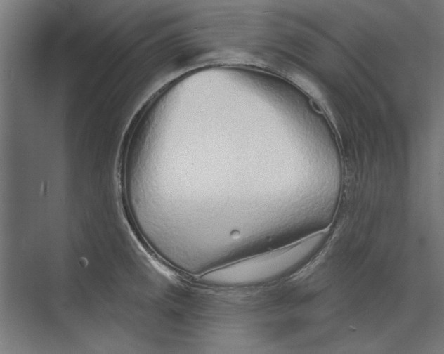 X0000073831141200609071508