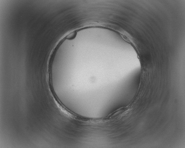 X0000073831143200609071508