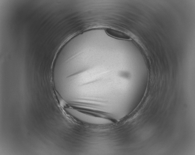 X0000073831145200609071508