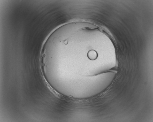 X0000073831148200609071508