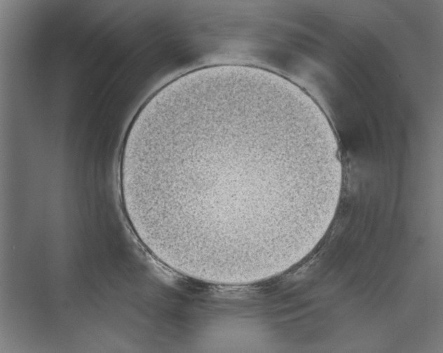 X0000073831150200609071508