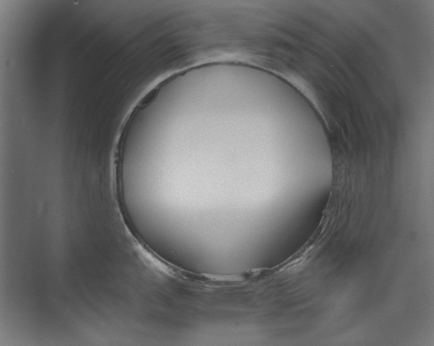 X0000073831151200609071508