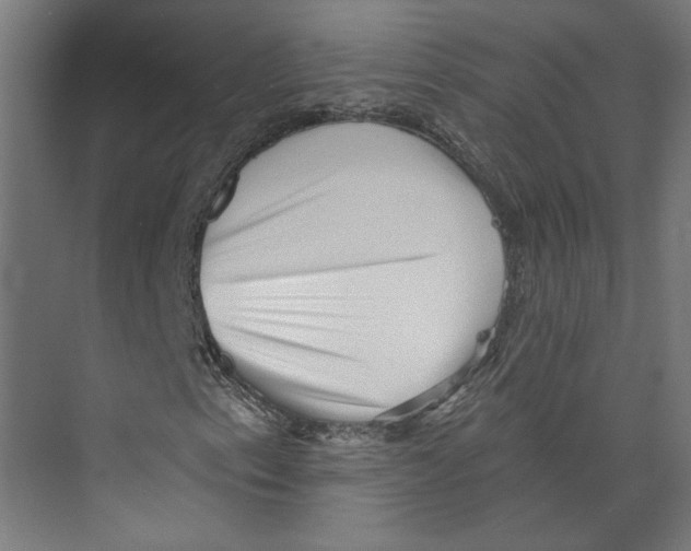 X0000073831153200609071507