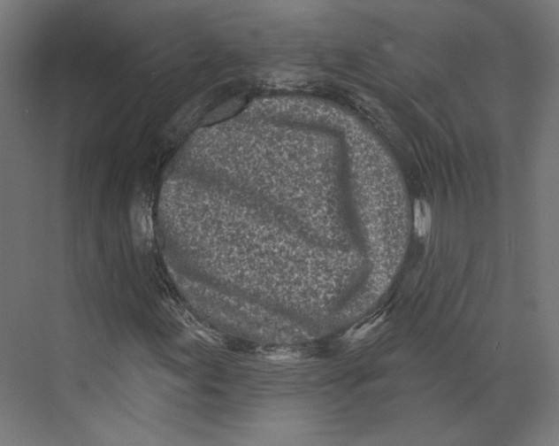 X0000073831155200609071507