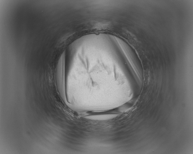 X0000073831158200609071507