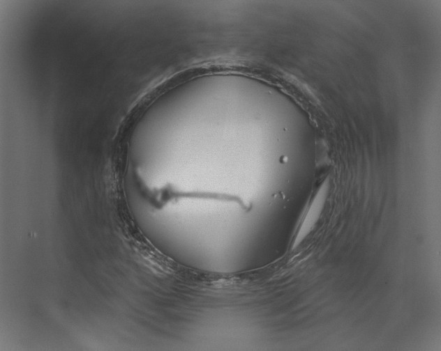 X0000073831160200609071507