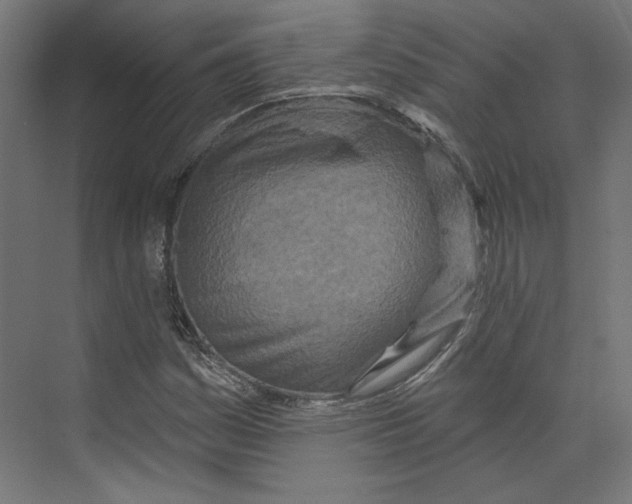 X0000073831161200609071507