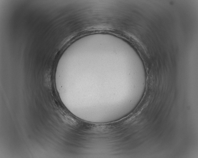 X0000073831162200609071507