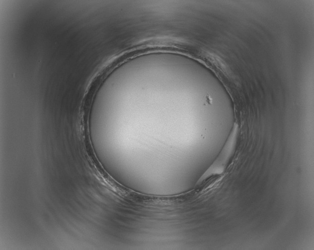 X0000073831164200609071507