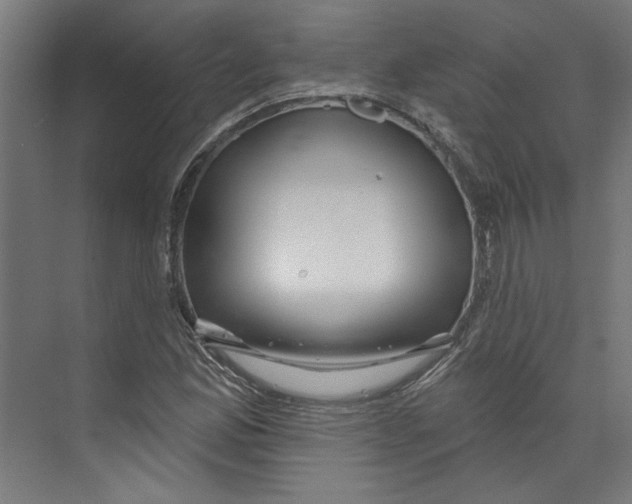 X0000073831165200609071507