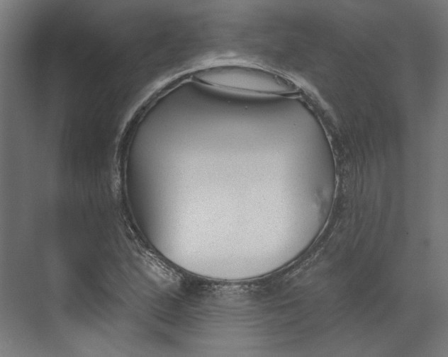 X0000073831167200609071507