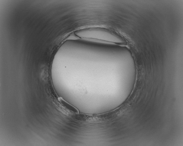 X0000073831169200609071507