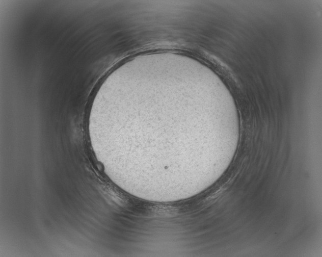 X0000073831170200609071507