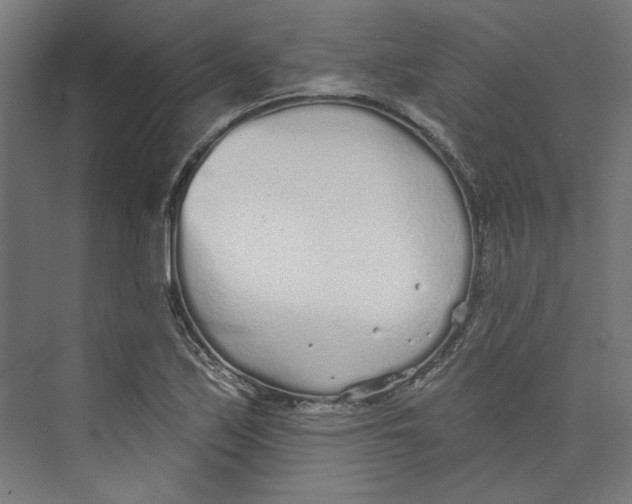 X0000073831171200609071507