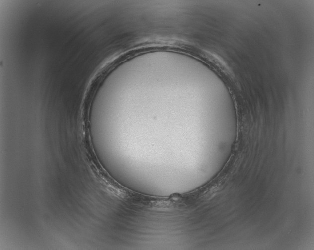 X0000073831172200609071507