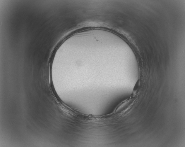 X0000073831175200609071507