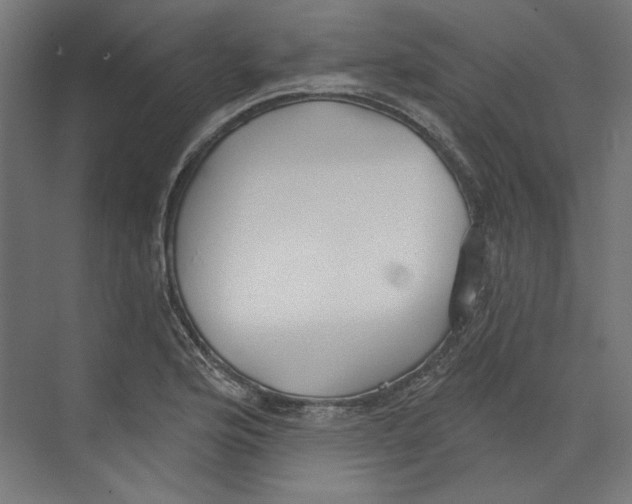 X0000073831176200609071507