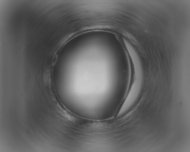 X0000073831177200609071507