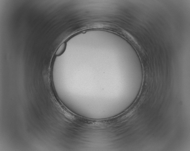 X0000073831178200609071507