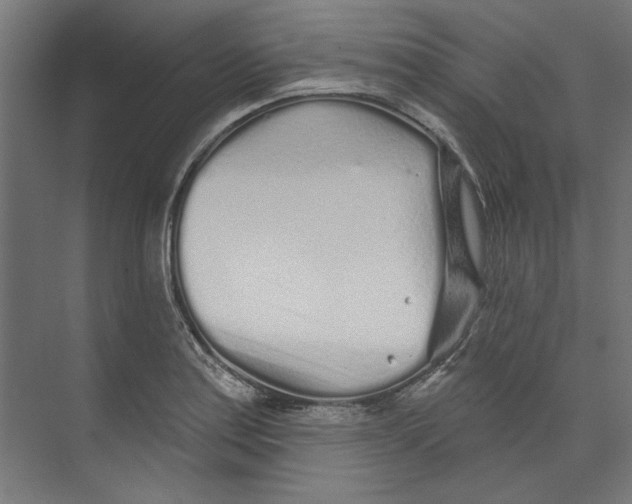 X0000073831179200609071507