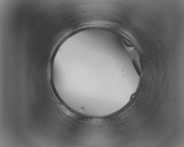 X0000073831180200609071507