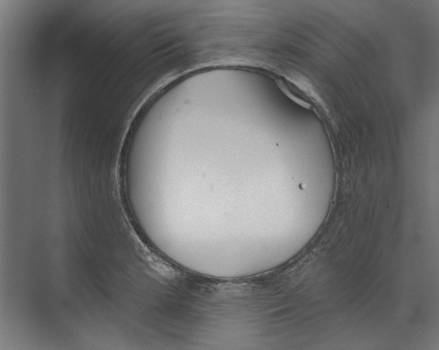 X0000073831181200609071507